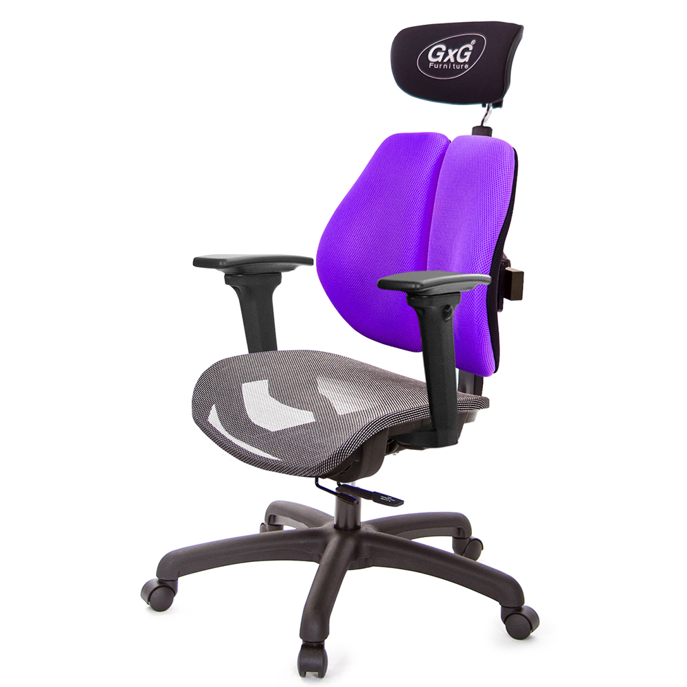 GXG 雙軸枕 雙背工學椅(3D升降扶手) 中灰網座 型號2706 EA9
