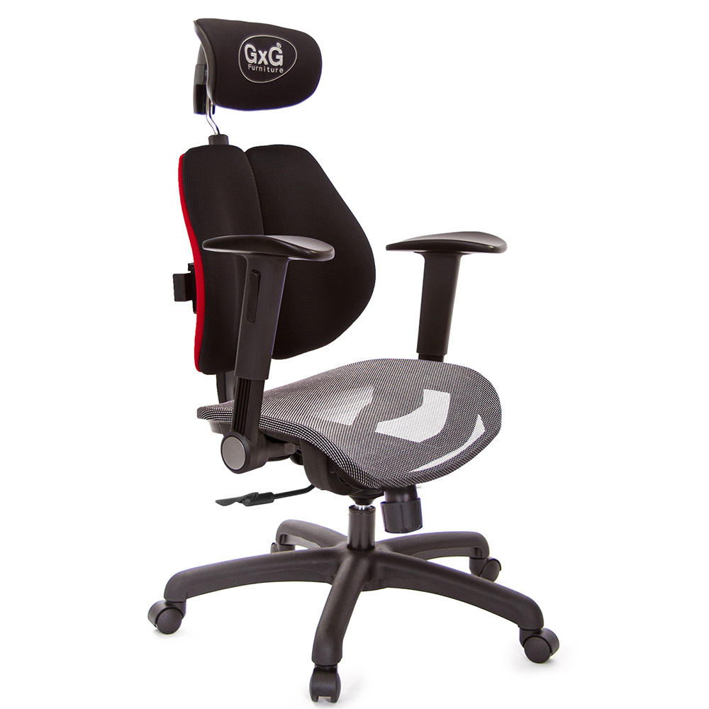 GXG 雙軸枕 雙背電腦椅(摺疊升降扶手) 中灰網座 型號2704 EA1