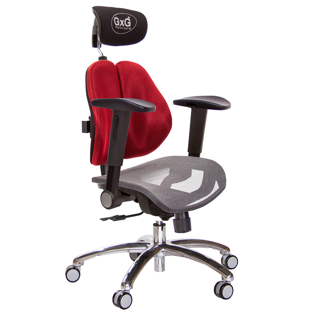 GXG 雙軸枕 雙背電腦椅(鋁腳/摺疊滑面扶手) 中灰網座 型號2704 LUA1J