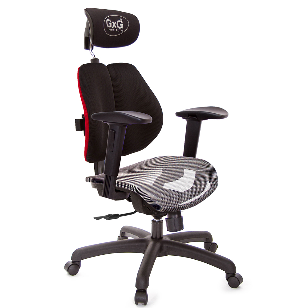 GXG 雙軸枕 雙背電腦椅(2D滑面升降扶手) 中灰網座 型號2704 EA2J
