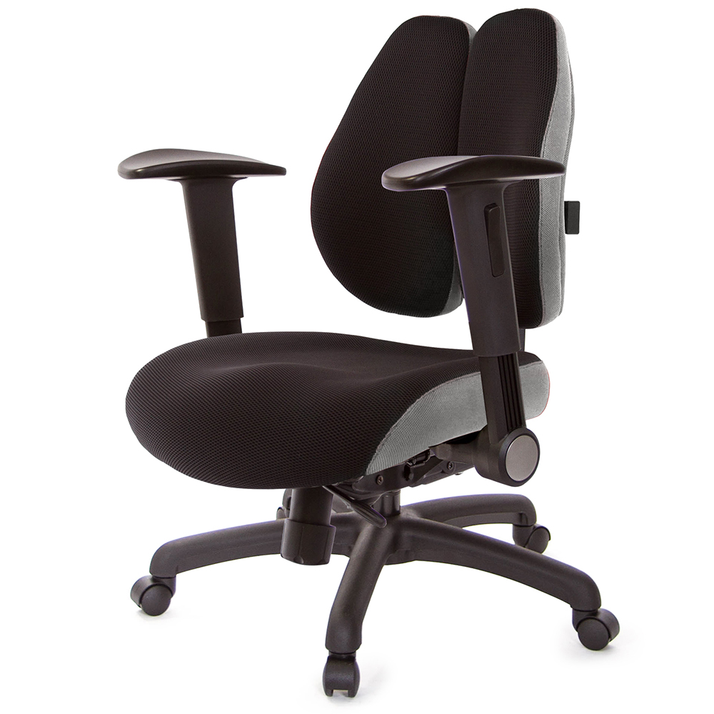 GXG 低雙背DUO KING 工學椅(摺疊升降扶手)  型號3005 E1