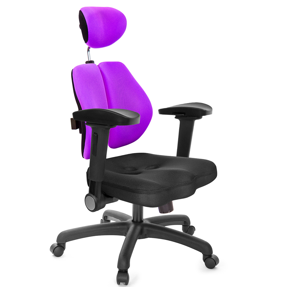 GXG 高背美臀 雙背椅 (4D弧面摺疊扶手)  型號2504 EA1D