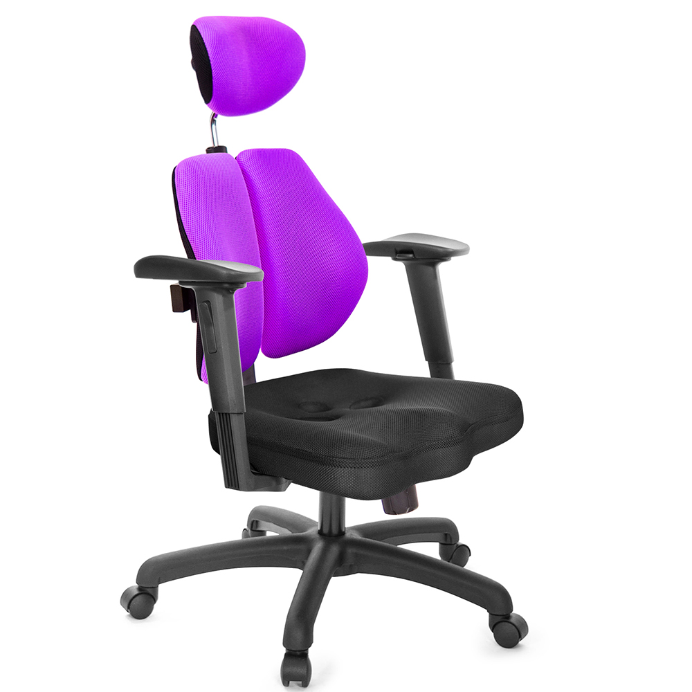 GXG 高背美臀 雙背椅 (2D手遊休閒扶手)  型號2504 EA2JM
