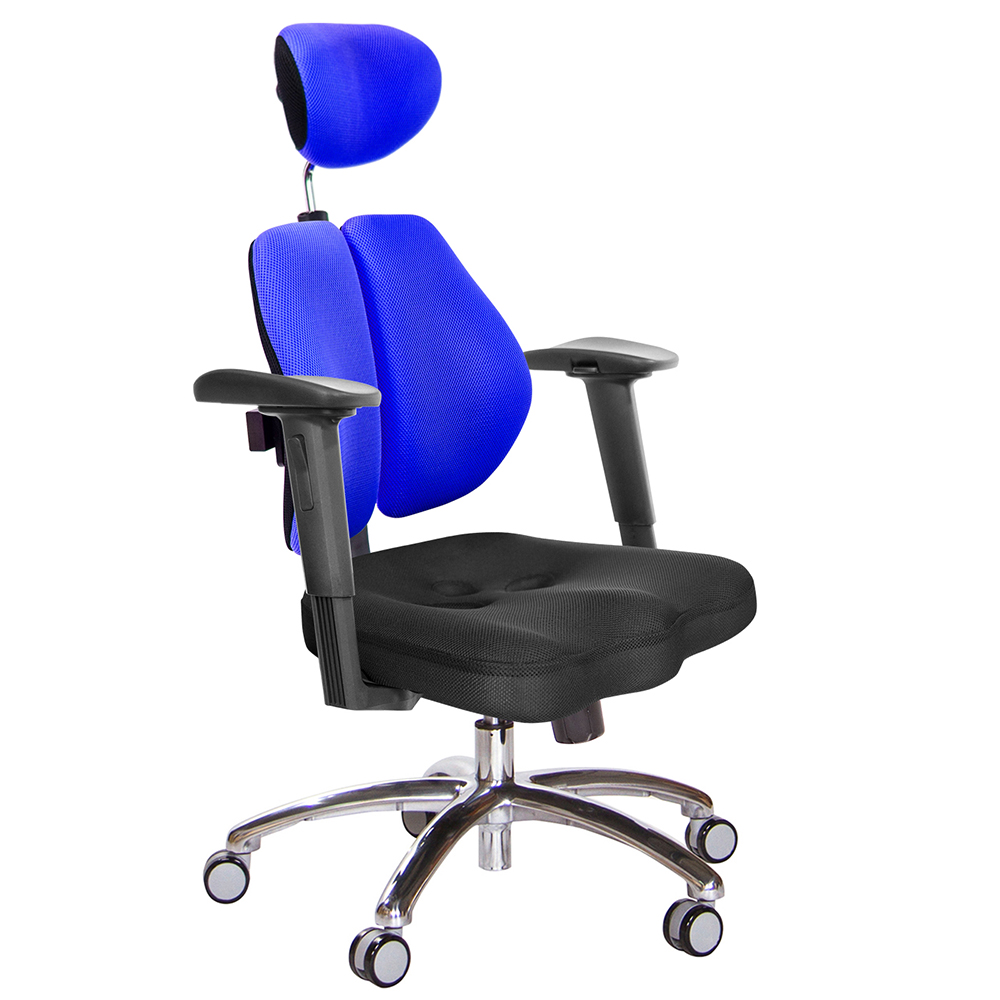 GXG 高背美臀 雙背椅 (鋁腳/2D手遊休閒扶手)  型號2504 LUA2JM