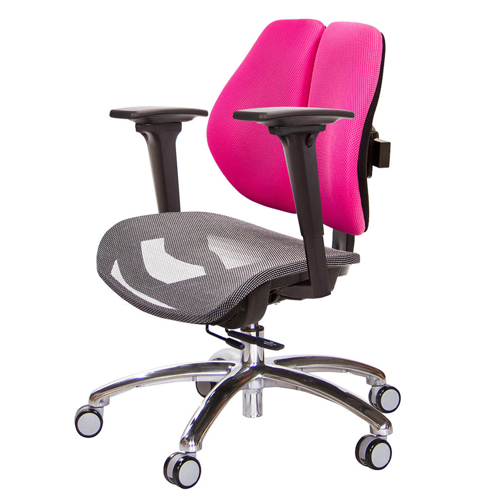 GXG 低雙背網座 工學椅(鋁腳/3D升降扶手)  型號2805 LU9