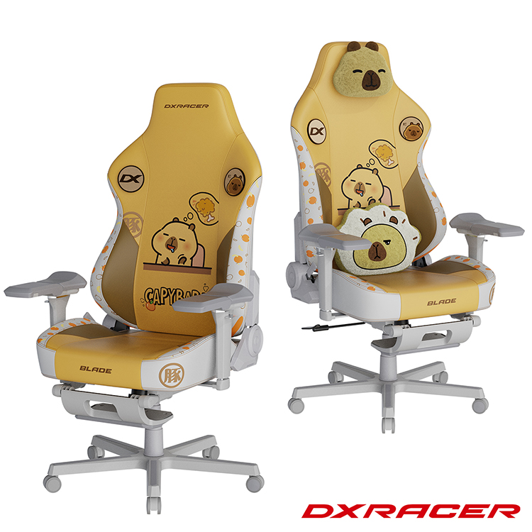 DXRACER 卡皮巴拉小黃豚 電競賽車椅(6D扶手/中型皮面)