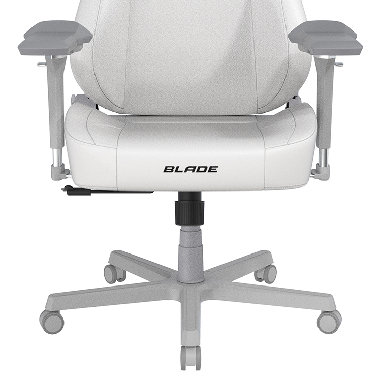 DXRACER 電競賽車椅 利刃 (6D扶手/皮面白色)